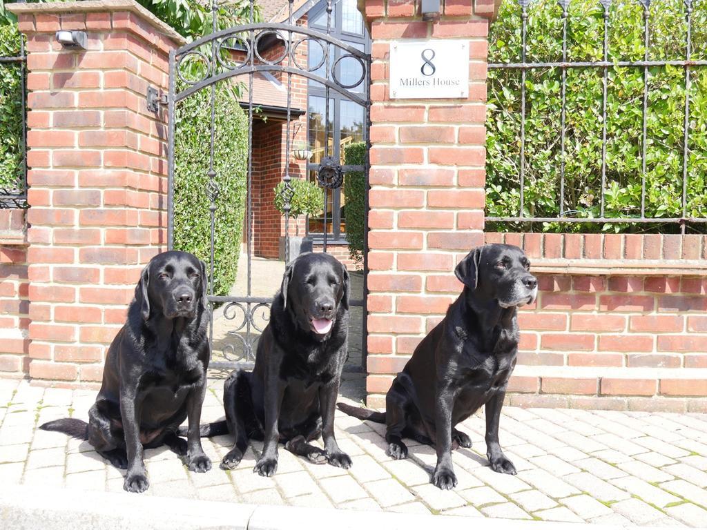 Millers House Boutique B&B Emsworth Esterno foto