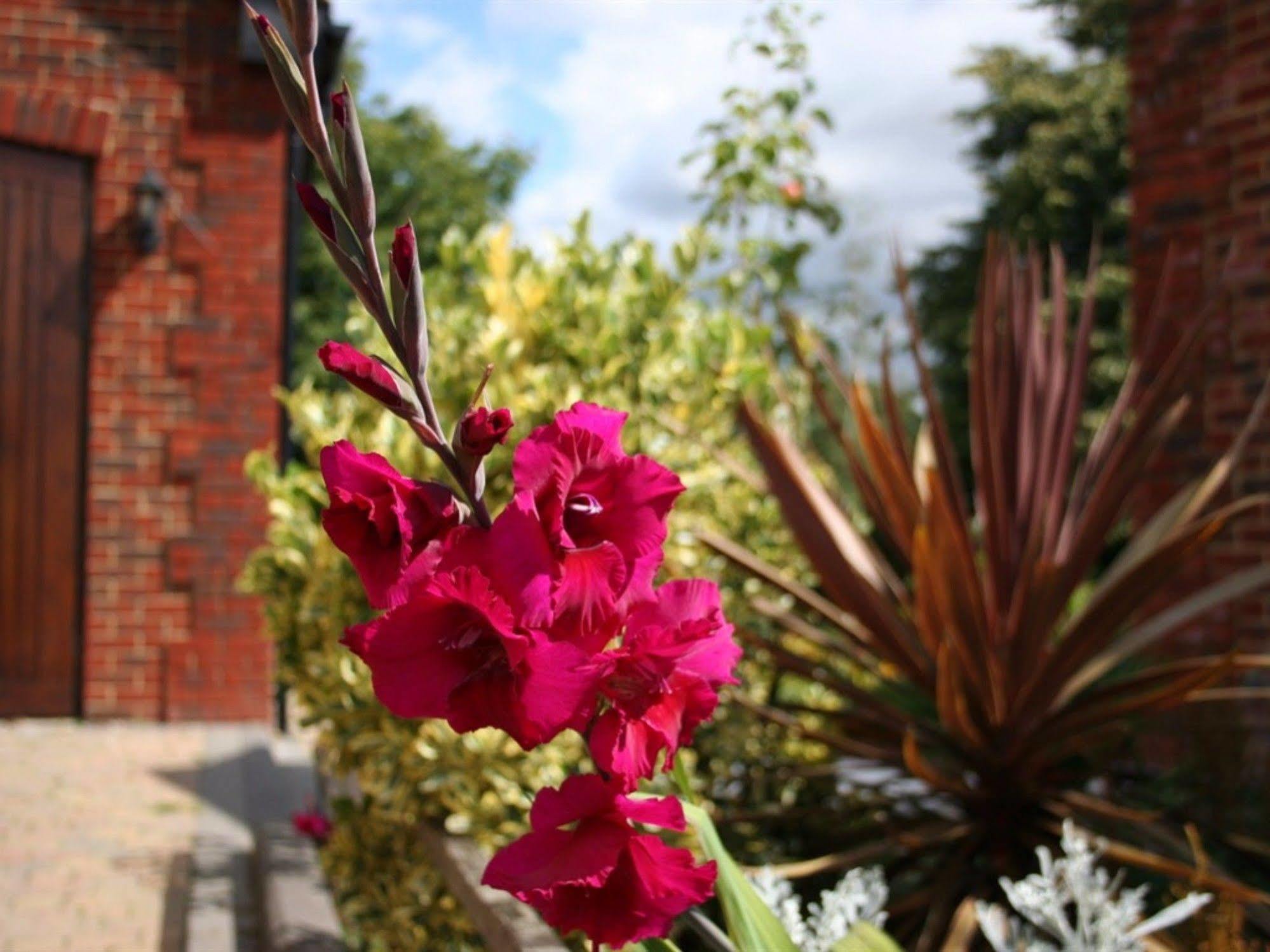Millers House Boutique B&B Emsworth Esterno foto